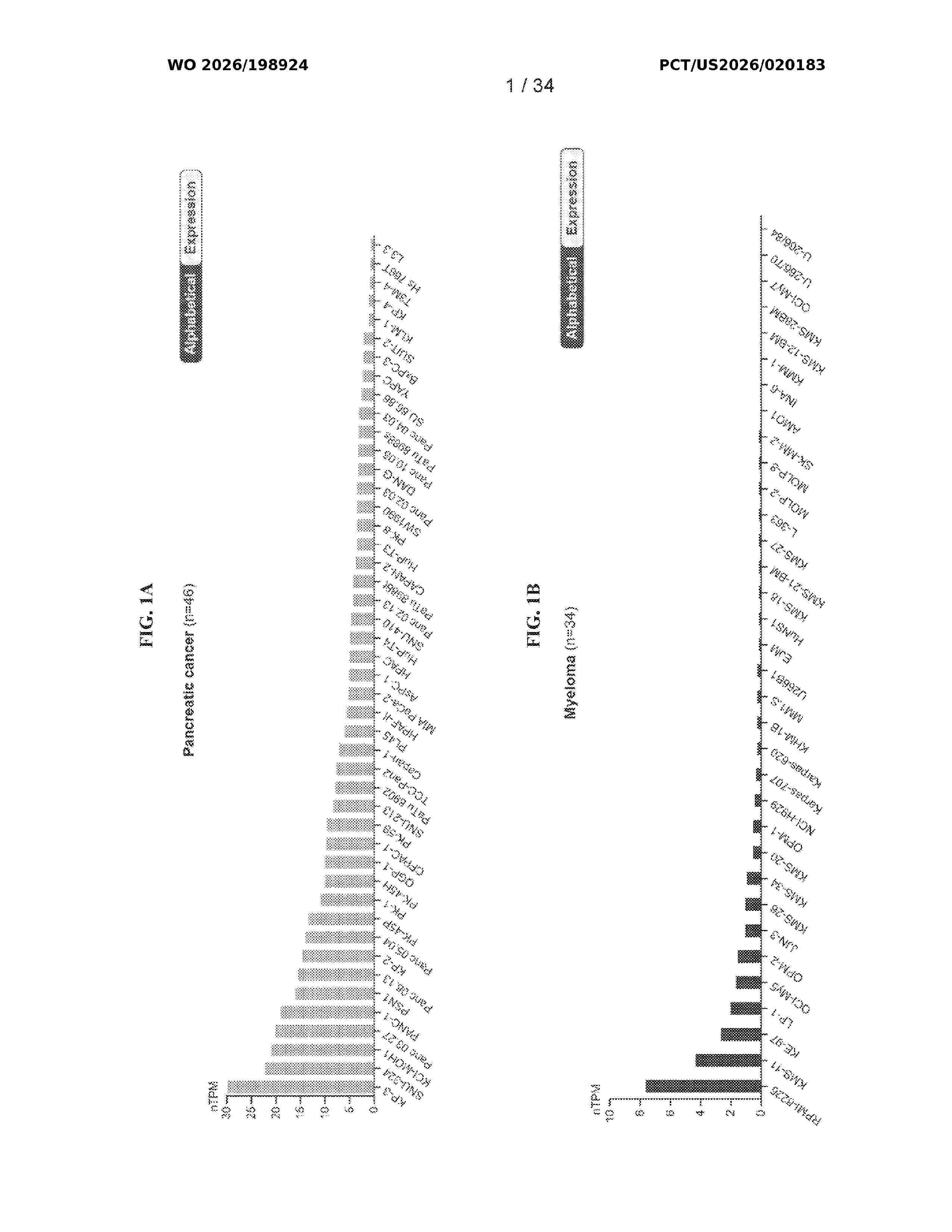 WO_2026198924_A1