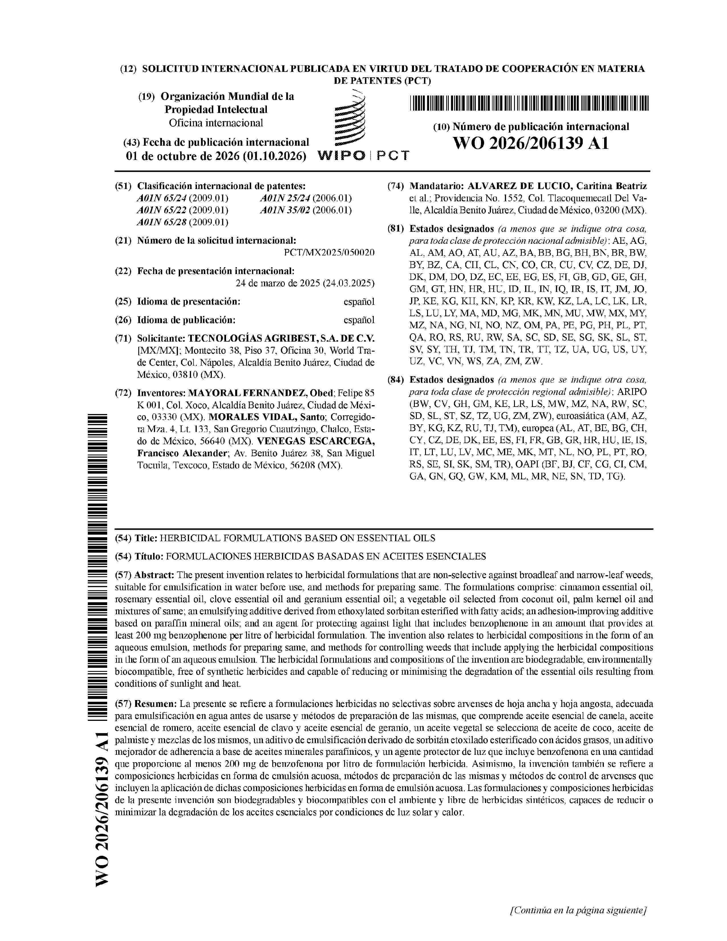 WO_2026206139_A1