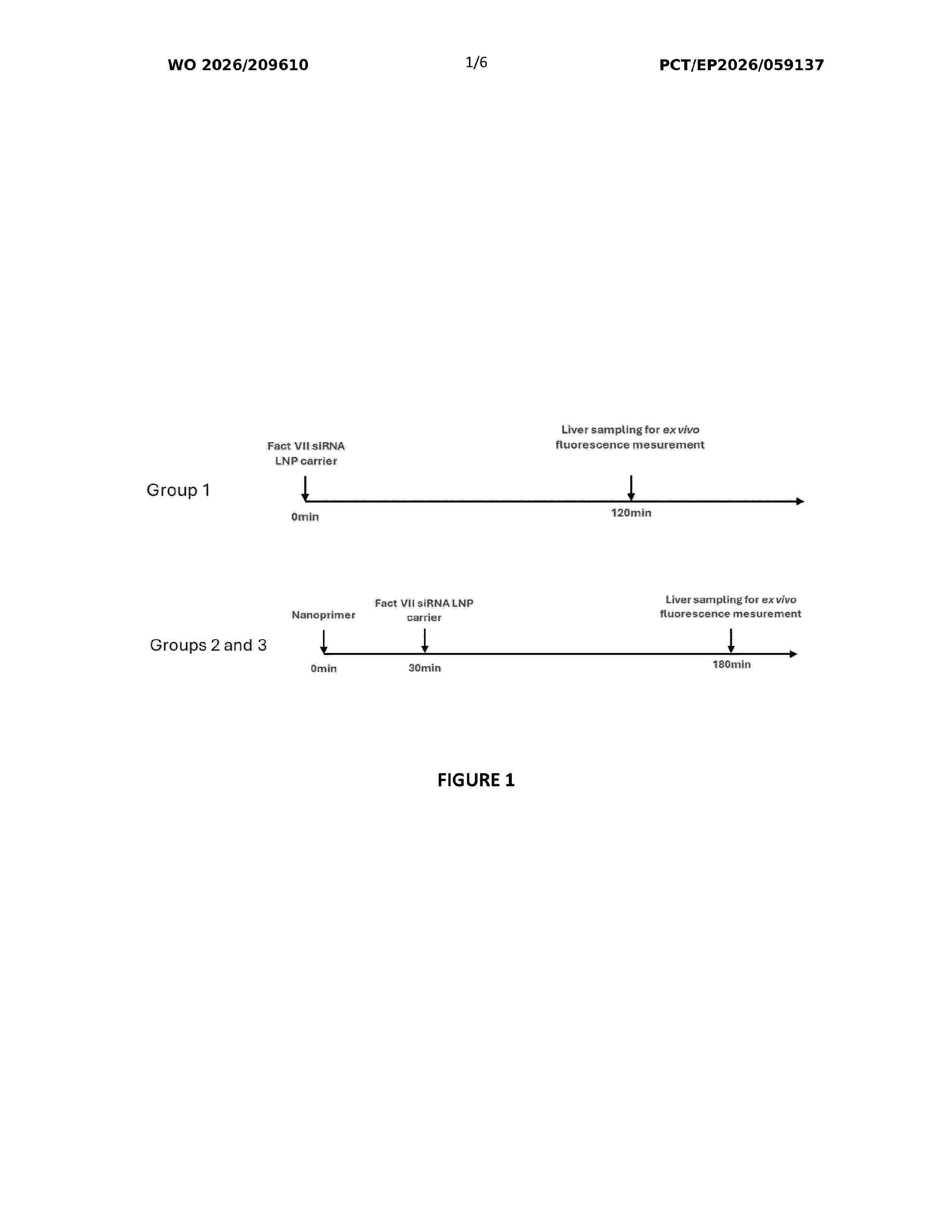 WO_2026209610_A1