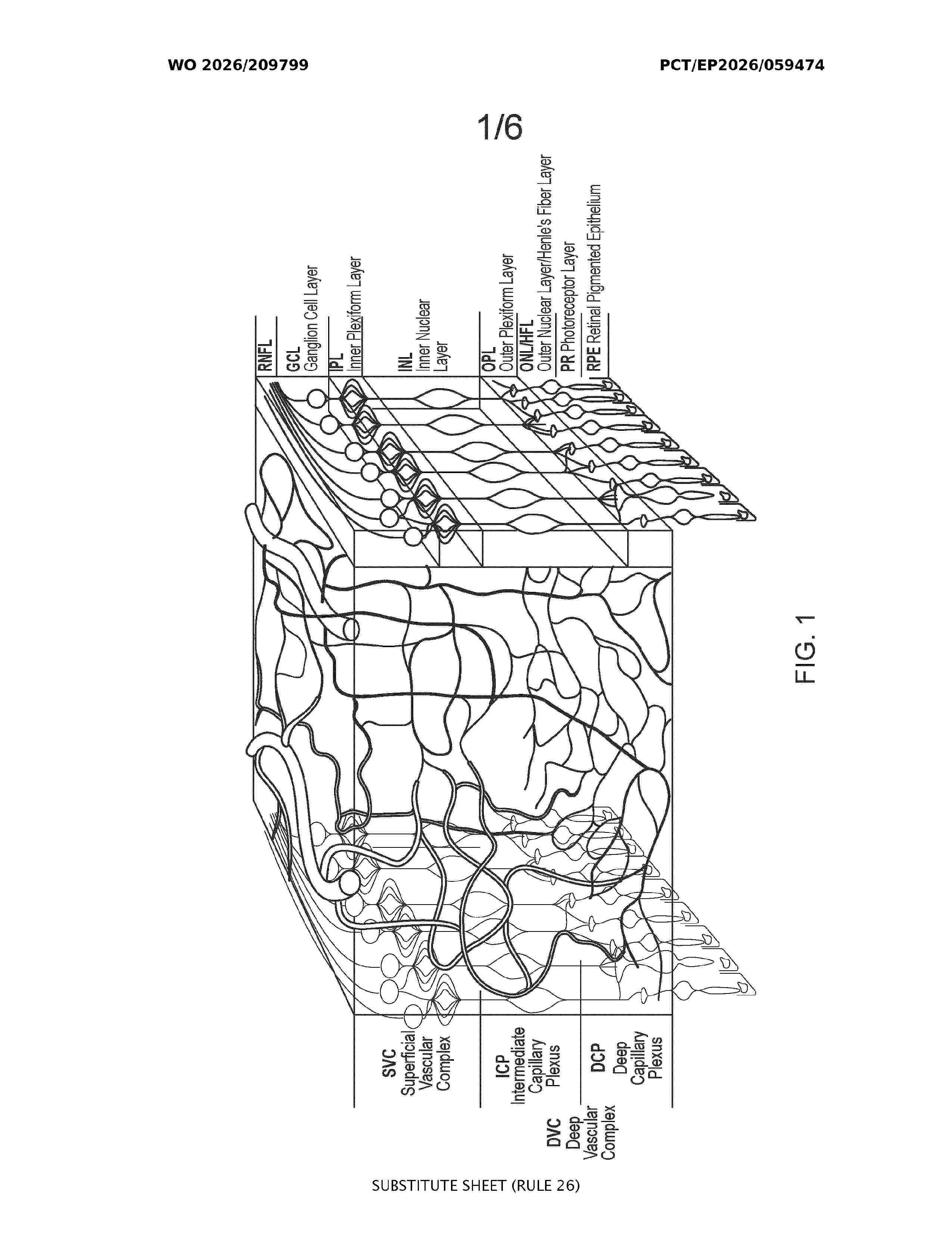 WO_2026209799_A1