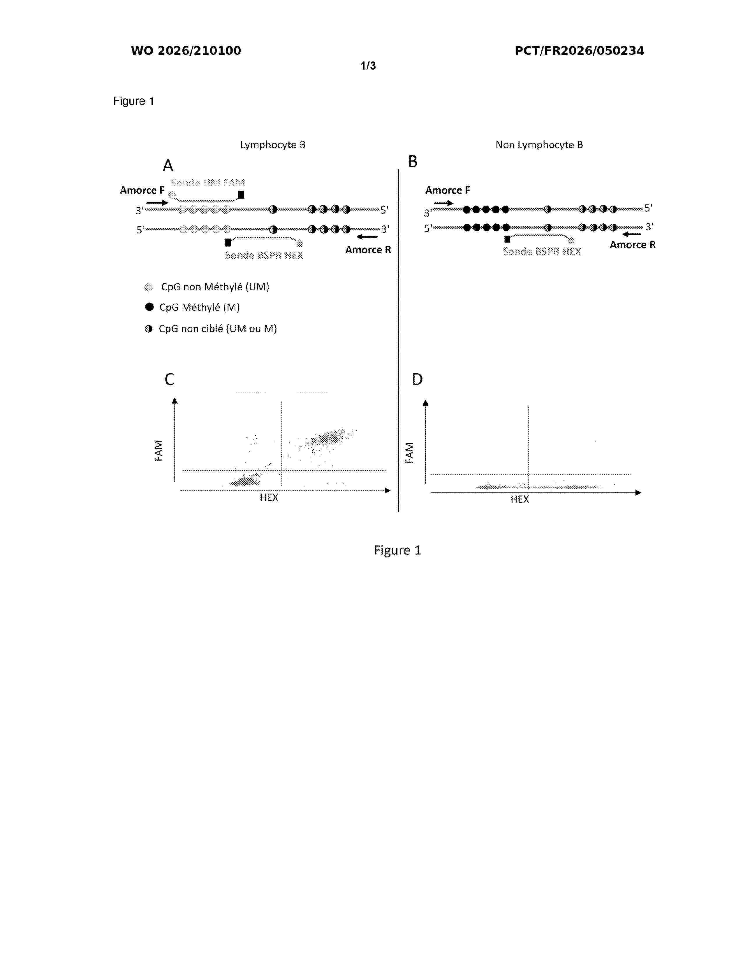 WO_2026210100_A1