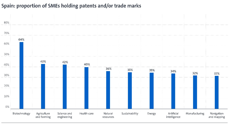 Spain: proportion of SMEs holding patents and/or trade marks