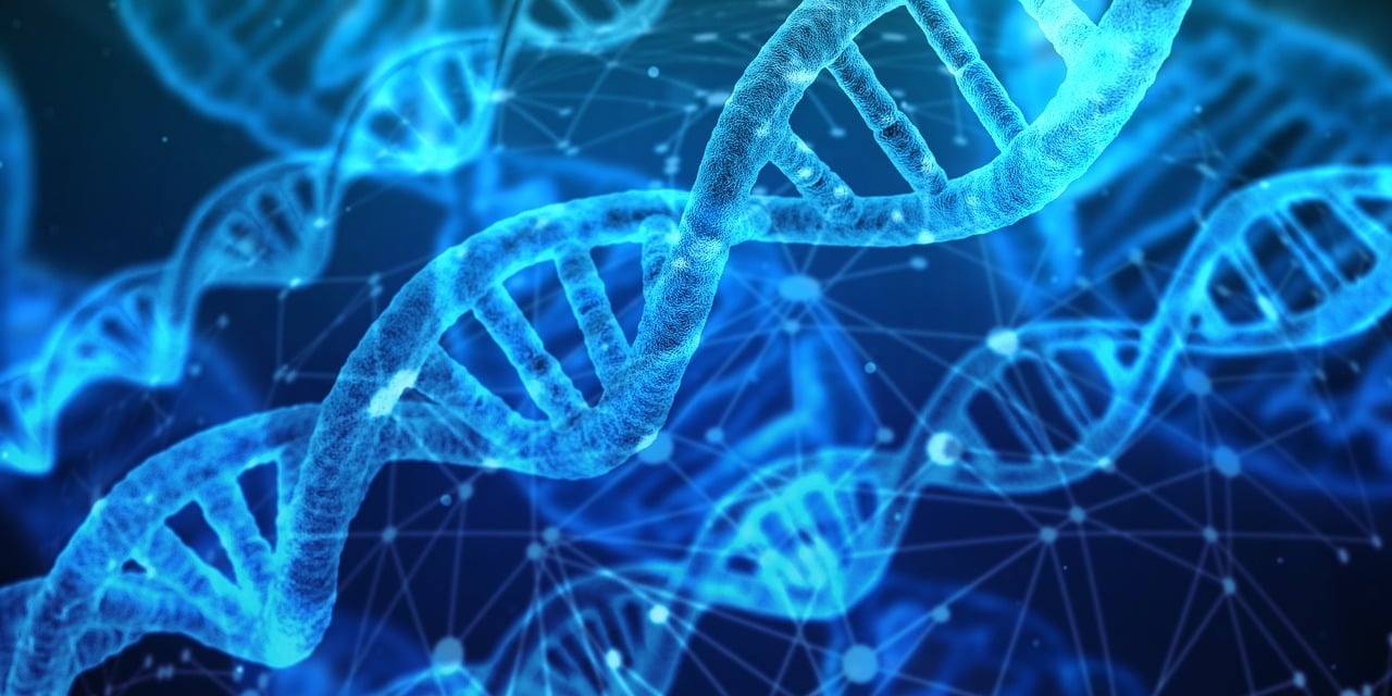 imagenbanner